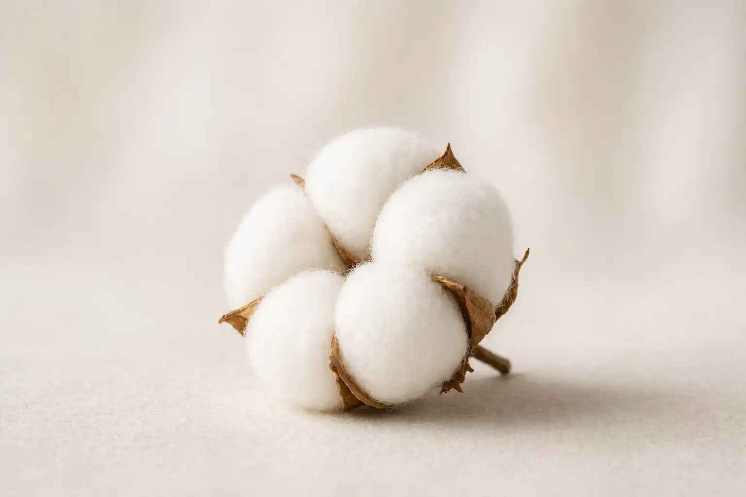 sen o bieli symbolika czystej kartki świeżego startu i pustej przestrzeni